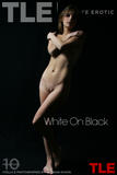 Stella D - White On Black -n419umt5a4.jpg