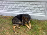 th_65859_22122007651_122_362lo.jpg